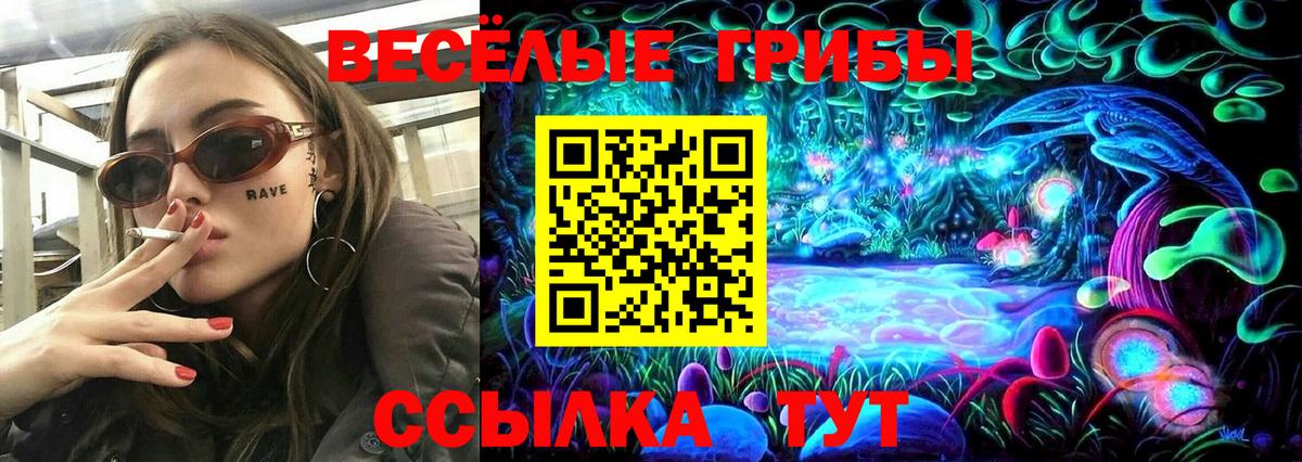 Псилоцибиновые грибы Psilocybe Ставрополь