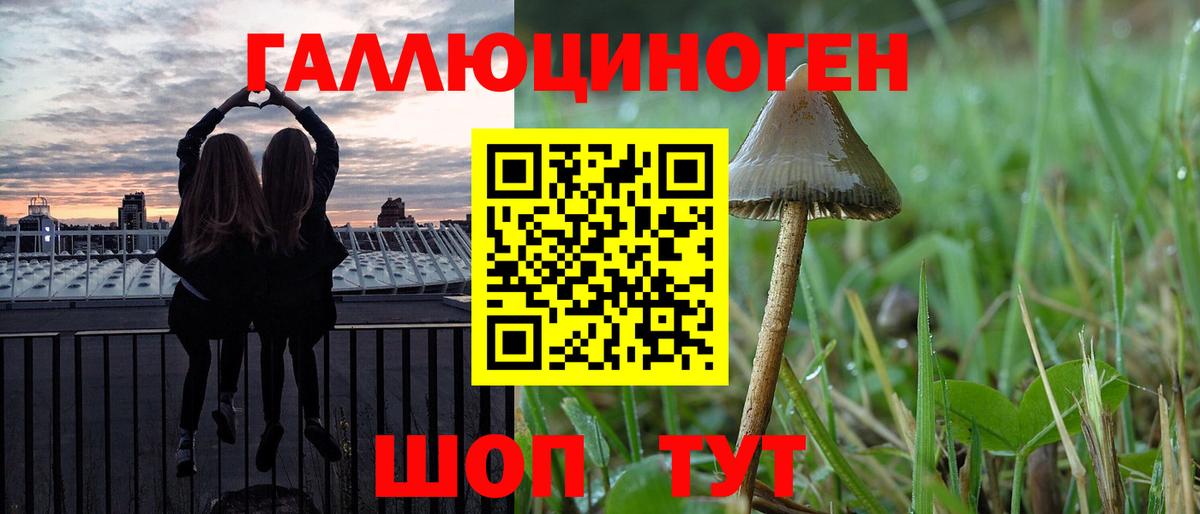 Псилоцибиновые грибы Psilocybine cubensis  Вход с VPN  Ставрополь 